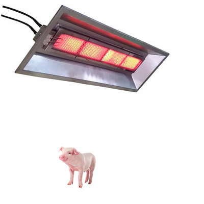 حاضن الغاز بالأشعة تحت الحمراء سخان غاز البترول المسال الطبيعي بيت الدواجن قن الدجاج THD6806 5000pa