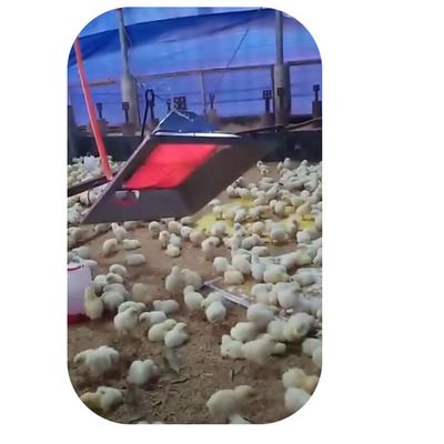 معدات مزرعة الدواجن غاز البروبان داخلي سخان حاضن الدجاج للدواجن