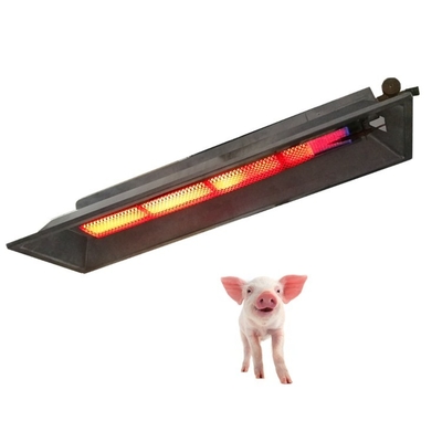 الأشعة تحت الحمراء غاز البترول المسال حاضن الدجاج حاضن نظام تسخين الكتاكيت للطيور THD6806