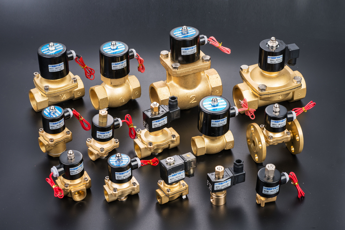 صمام الملف اللولبي النحاسي الكهربائي الهيدروليكي 12V 24V 110V 220V AC DC لفائف نحاسية للمياه
